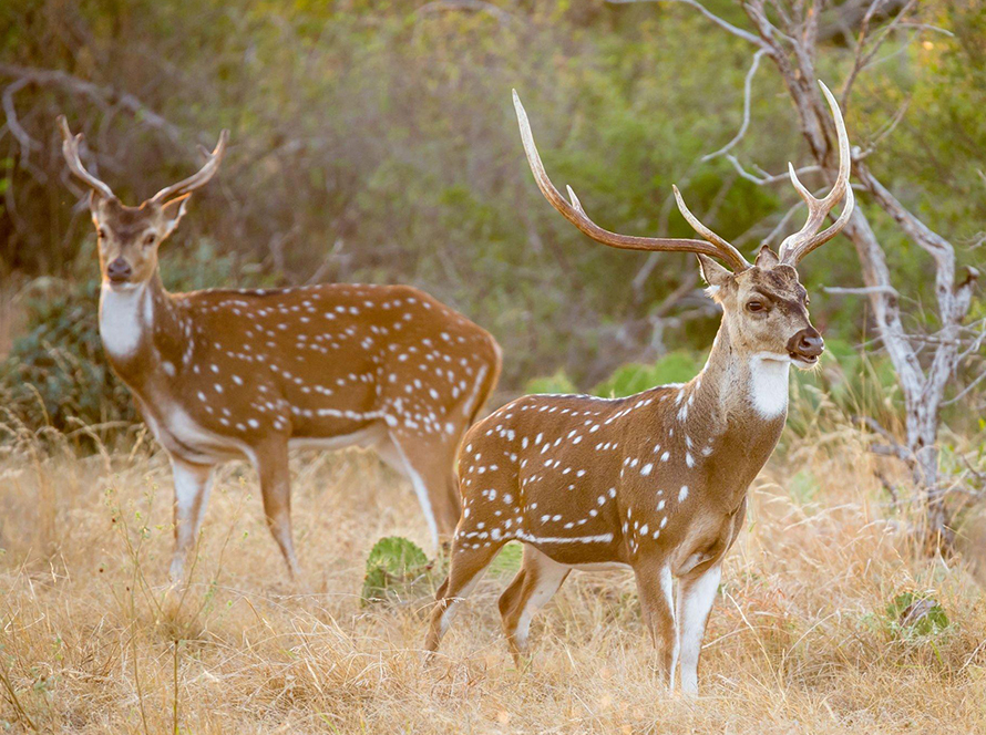 Fishing and Wildlife in Our Sanctuary